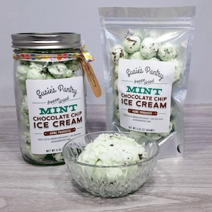 Freeze Dried Mint Chocolate Chip Ice Cream (Small Sizes)