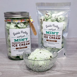 Freeze Dried Mint Chocolate Chip Ice Cream (Small Sizes)