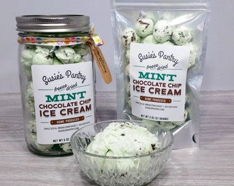 Freeze Dried Mint Chocolate Chip Ice Cream (Small Sizes)