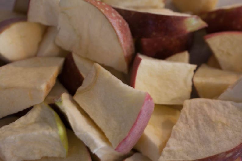 Freeze Dried Apples honey Crisp Etsy