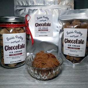 Freeze Dried Chocolate Ice Cream (Small Sizes)