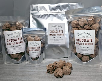 Freeze Dried Chocolate Malted Krunch Ice Cream (Small Sizes)