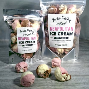 Freeze Dried Neapolitan Ice Cream (Small Sizes)