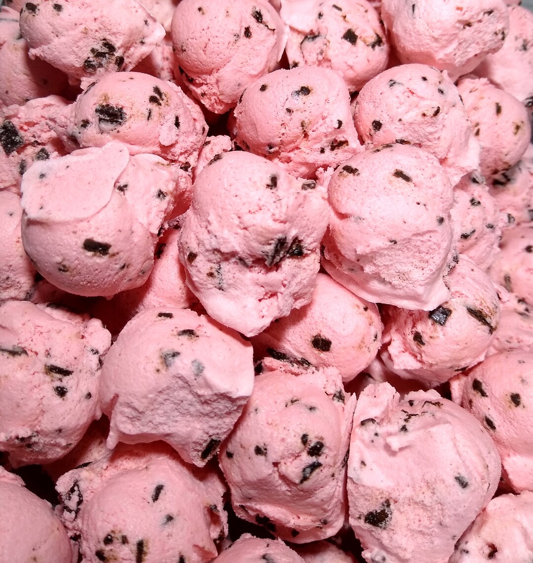 Freeze Dried Cinnamon Chocolate Chip Ice Cream large Sizes Etsy