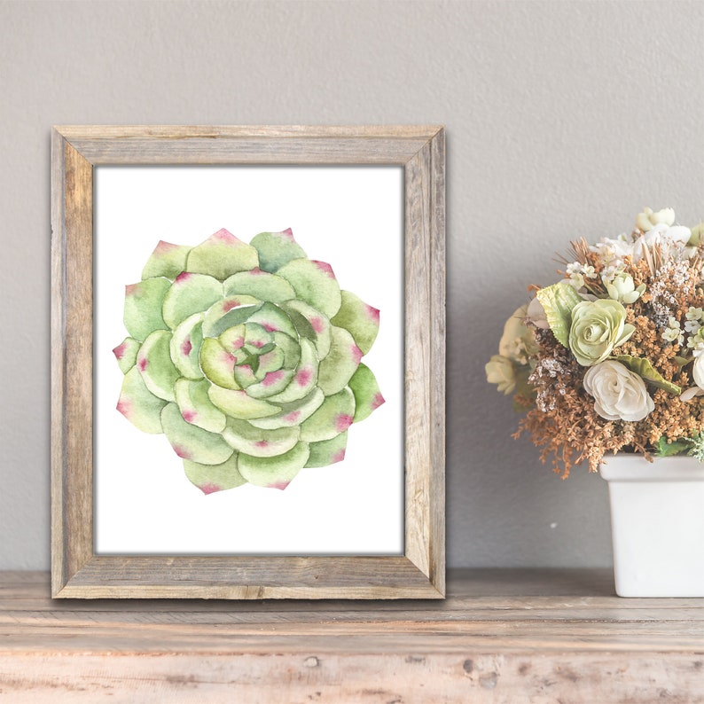 Succulent Print Wall Art Kitchen Decor Plant Cactus