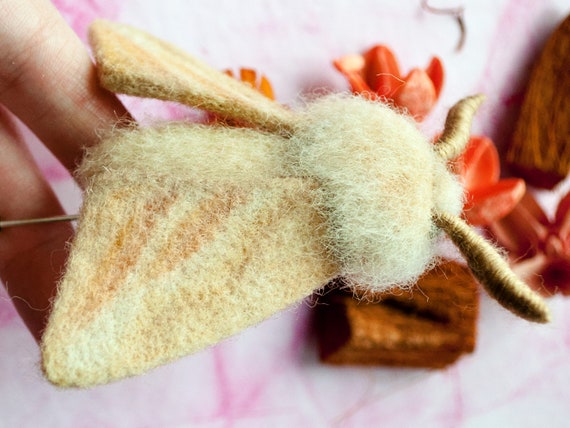 Types Of Fluffy Moths