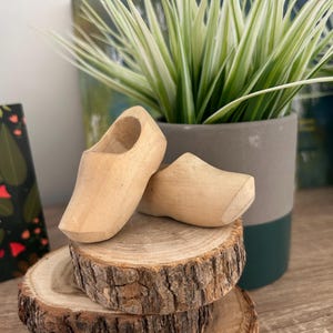 Könnte beinhalten: Zwei kleine, hellfarbene Holzschuhe liegen auf einem Stapel rustikaler, kreisförmiger Holzscheiben. Die Holzschuhe sind vor einer Topfpflanze mit grün-weiß gestreiften Blättern positioniert. Der Hintergrund umfasst einen grünen und grauen Topf.