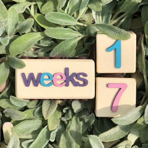 Milestone blocks, Baby age blocks, Baby milestone, Baby month blocks, Blocks with letters, Baby shower gift, Photo Prop, Nursery Decor