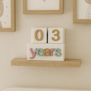 3D Milestone Blocks, Baby age blocks, Baby milestone blocks, Baby month signs, Nursery photo, Baby shower gift, Baby photo props