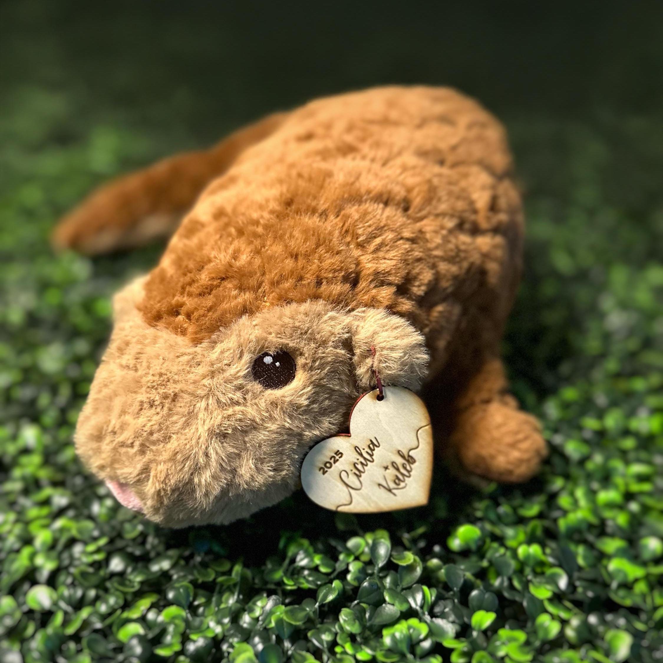 Baby Stuffed Pangolin Pangolin Stuffed Animal Deals