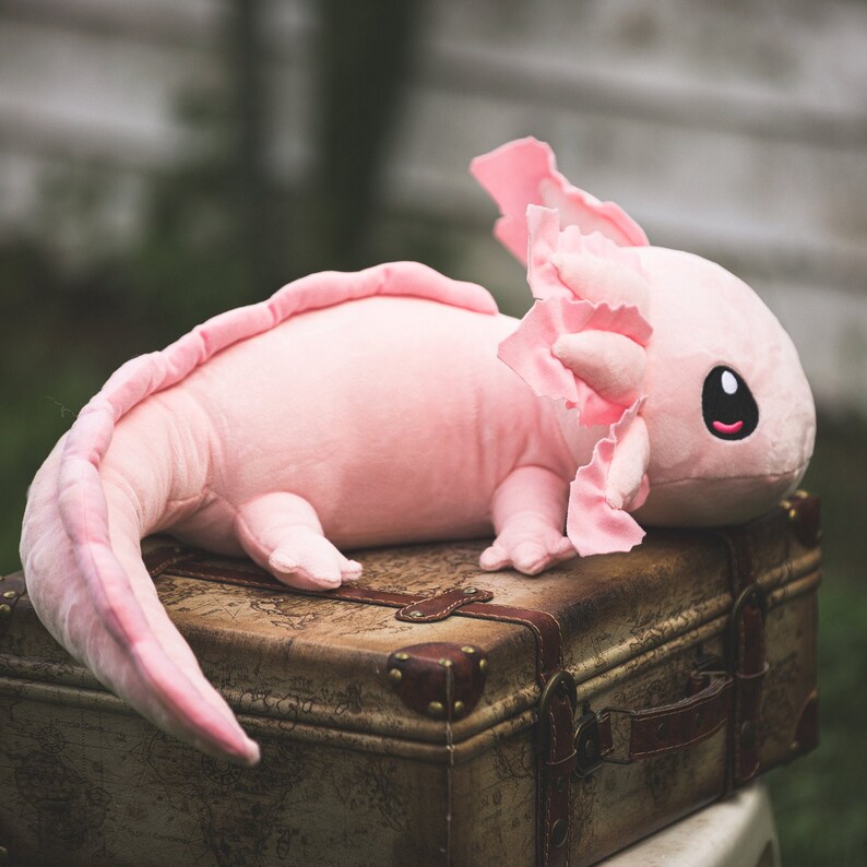 Realistic Weighted Axolotl Plush 4 lbs Portion Donated to Etsy