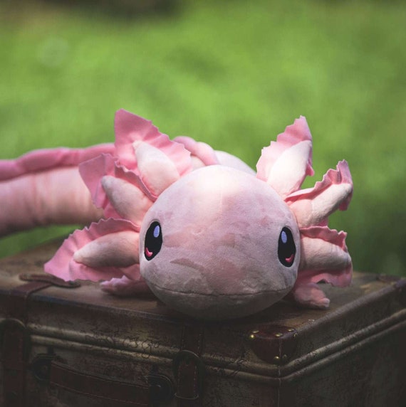 Realistic Weighted Axolotl Plush 4 Lbs Portion Donated to Etsy UK