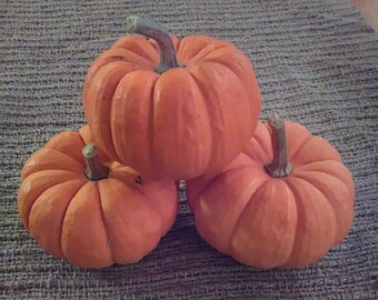 Jack Be Little Heirloom Pumpkin Seeds NON-GMO