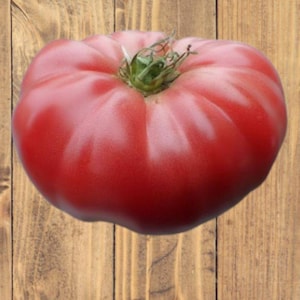 Heirloom Tomato Trio Seed Pack