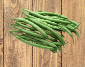 Heirloom Kentucky Wonder Pole Beans