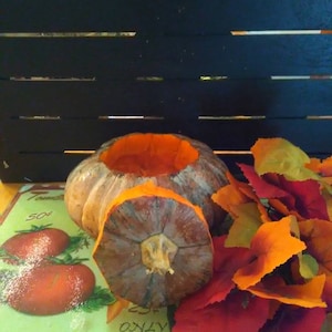 Heirloom Non-GMO Calabaza pumpkin seeds
