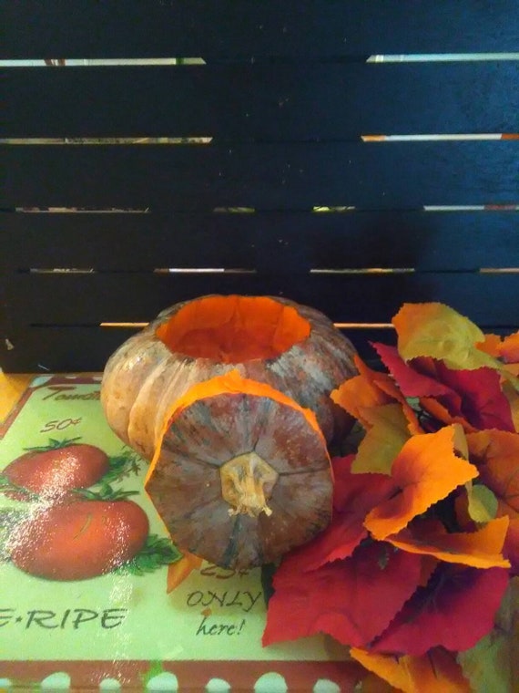Heirloom Non-GMO Calabaza pumpkin seeds