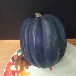 Heirloom Non-GMO Acorn Squash Seeds