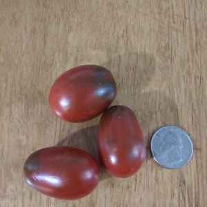 Heirloom Non GMO Chocolate Pear Tomato