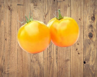 Heirloom Non GMO Golden Jubilee Tomato Seeds