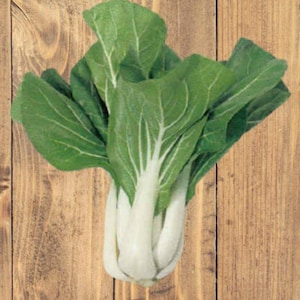 Heirloom NON GMO Pak Choi