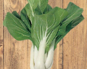 Heirloom NON GMO Pak Choi