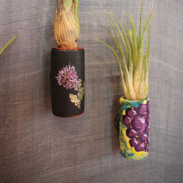 Kitchen, office, family or game room magnetic and air plant holders for wine and beer enthusiasts