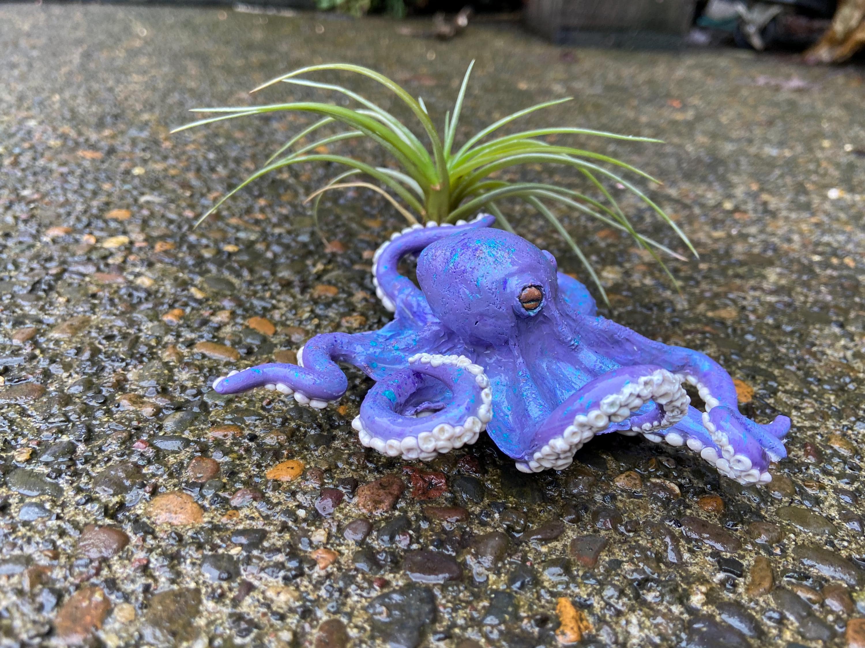 手作り粘土タコ型エアプラントホルダー：マグネットオプション、海岸風