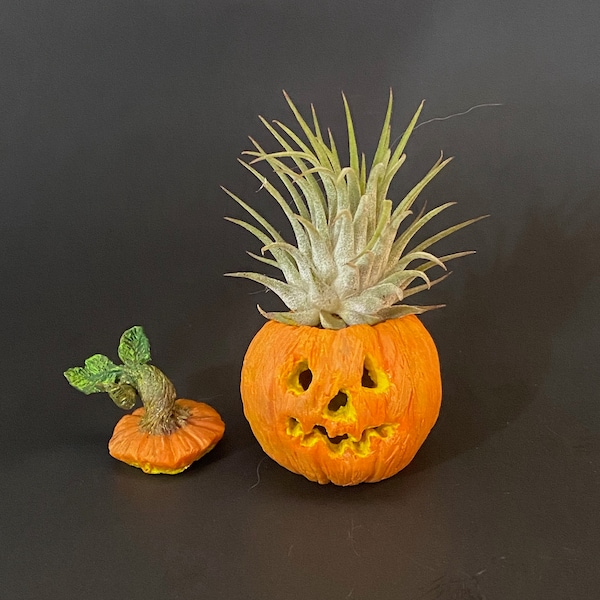 Handgemachte Mini Kürbisse aus Ton: Halloween Kürbisse & Sugar Skulls