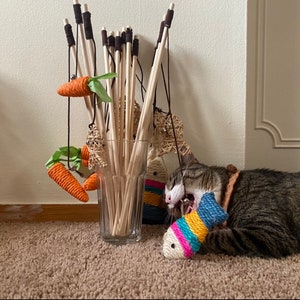 Fishing Pole Holder for Pet 