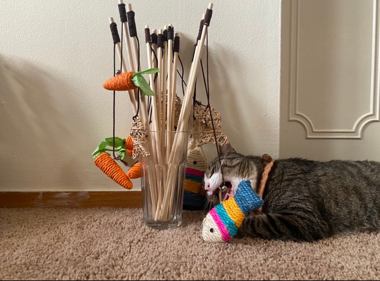Cat Toys - Fishing Rod canacats - Boa small model