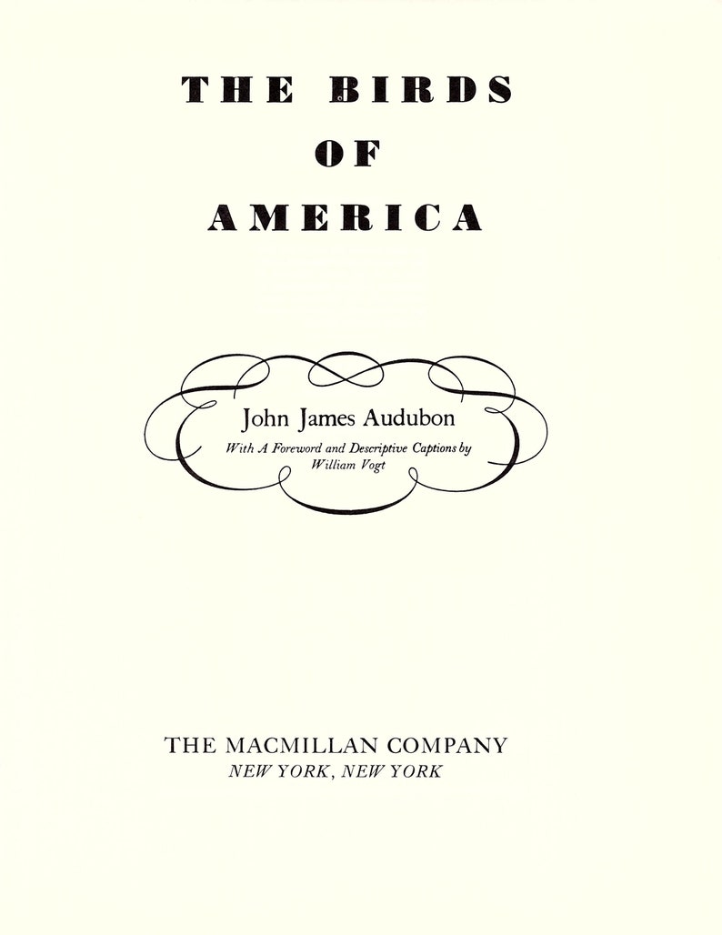 May include: Black and white book cover with the title "The Birds of America" by John James Audubon. The cover also includes the text "With A Foreword and Descriptive Captions by William Vogt" and "THE MACMILLAN COMPANY NEW YORK, NEW YORK".