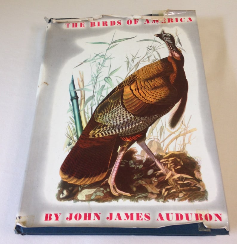 May include: The cover of a book titled "The Birds of America" by John James Audubon. The cover features a colourful illustration of a wild turkey in a natural setting.
