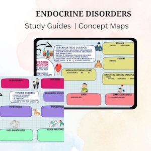 May include: A colorful concept map illustrating endocrine disorders. The map is divided into sections for different disorders, including Addison's disease, Cushing's syndrome, hyperaldosteronism, congenital adrenal hyperplasia, diabetes insipidus, growth hormone deficiency, hypoparathyroidism, and hypothyroidism. The map includes text descriptions of each disorder, as well as illustrations of the affected organs.