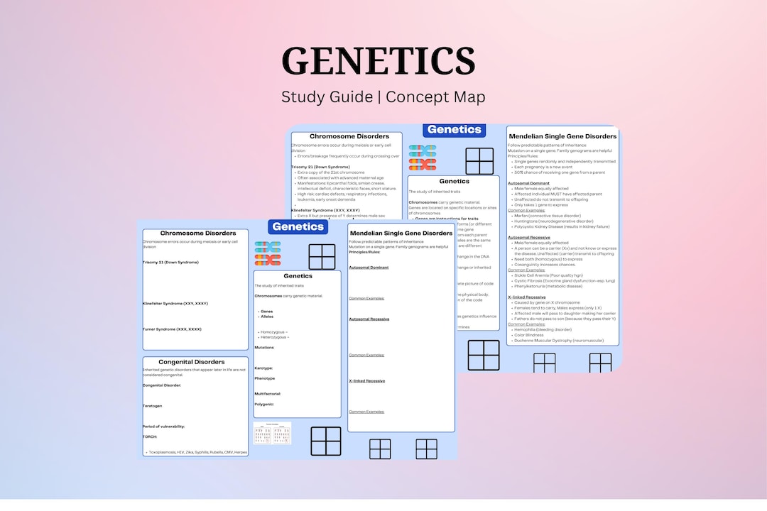 Genetics | Nursing Study Guides | Concept Maps - Etsy