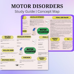 Puede incluir: Una guía de estudio de mapa conceptual colorida para trastornos motores. La guía incluye información sobre esclerosis múltiple, síndrome de Guillain-Barré, miastenia gravis, distrofia muscular, enfermedad de Parkinson, parálisis cerebral, lesión de la médula espinal y ELA.