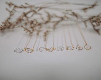 Collar conmemorativo de pelo: plata de ley, joyería conmemorativa de piel