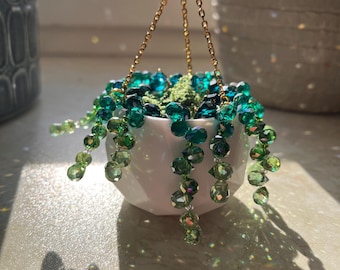 Perlen Pflanze • Sun Catcher • Sukkulente