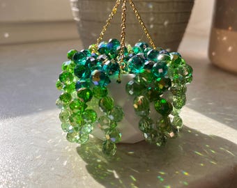 Planta perla • Atrapasueños • Suculenta