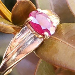 Puede incluir: Un anillo de oro con una gema de rub&iacute; ovalada y facetada. La banda del anillo tiene un dise&ntilde;o de hoja estilizado. El rub&iacute; es de color rojo intenso y el oro tiene un acabado pulido. El anillo se encuentra sobre un fondo de hojas verdes y marrones.