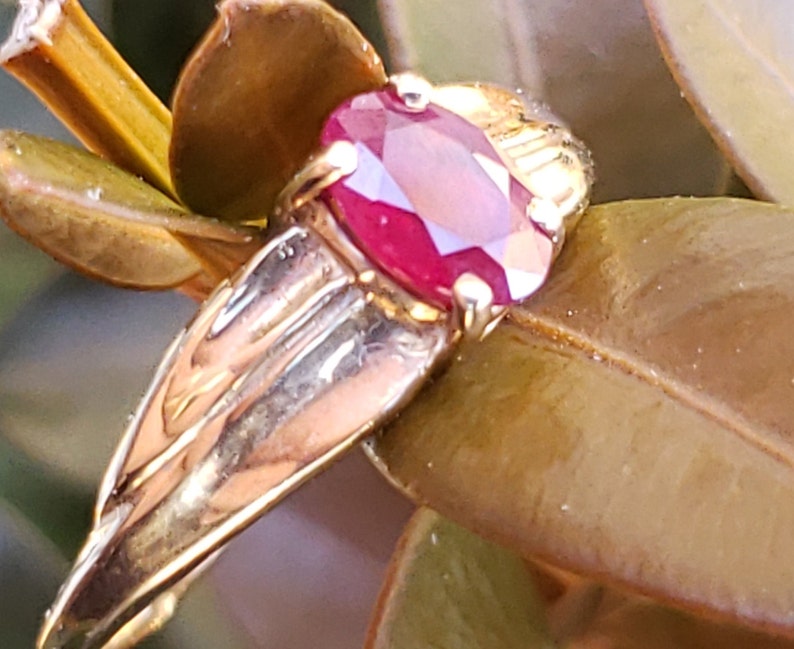 Puede incluir: Un anillo de oro con una gema de rub&iacute; ovalada y facetada. La banda del anillo tiene un dise&ntilde;o de hoja estilizado. El rub&iacute; es de color rojo intenso y el oro tiene un acabado pulido. El anillo se encuentra sobre un fondo de hojas verdes y marrones.