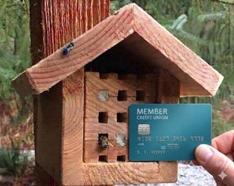 Handcrafted Mason Bee House Hotel, Garden home for singular pollinators