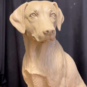 Labrador Dog Sculpture · Clay Model Cast in Bronze with First Order · Dalmatian Sculpture · Pet Memorial Sculpture · Can Be Made as an Urn