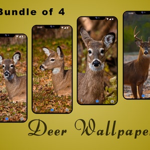 Deer Cell Phone Wallpapers, Wildlife phone backgrounds, phone wallpaper, iphone wallpaper, android wallpaper, cell phone backgrounds