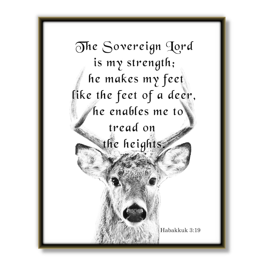 He Makes My Feet Like The Feet Of Deer Christian Hoodie He Makes My Feet Like The Feet Of Deer Christian Hoodie
