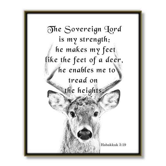 He Makes My Feet Like The Feet Of Deer Christian Hoodie He Makes My Feet Like The Feet Of Deer Christian Hoodie