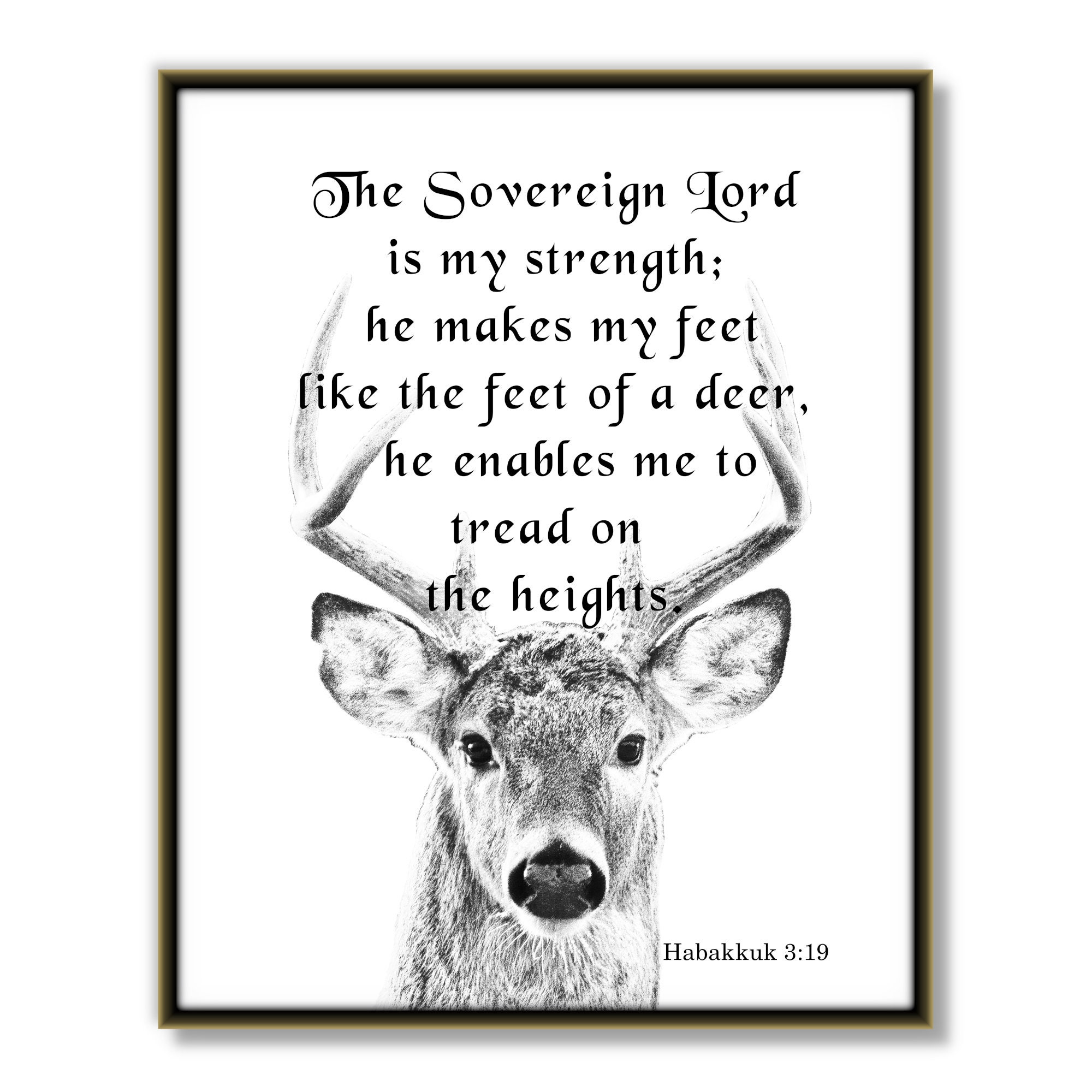 He Makes My Feet Like The Feet Of Deer Christian Hoodie He Makes My Feet Like The Feet Of Deer Christian Hoodie