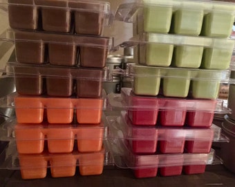 Fall/Holiday Scented Soy Wax Melts