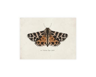 Vintage postkaarten tijgermot: elegante natuurwenskaarten