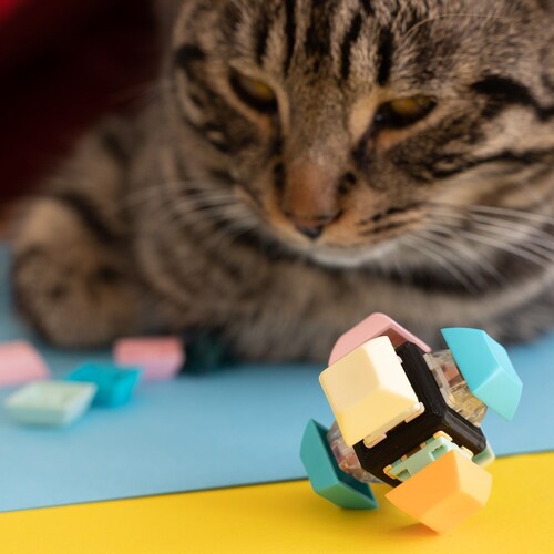 6 Key Mechanical Keyboard Fidget Switch Cube - Cherry MX Switches - Finger Fidget Toy